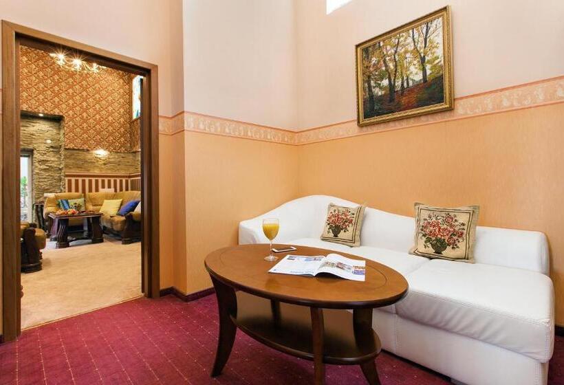 شقة غرفة واحدة, Conference Hotel Suputnyk