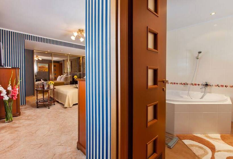 شقة غرفة واحدة, Conference Hotel Suputnyk