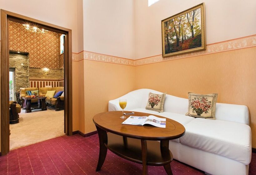 شقة غرفة واحدة, Conference Hotel Suputnyk