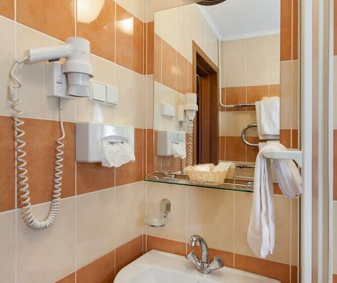 غرفة بيزنس, Conference Hotel Suputnyk