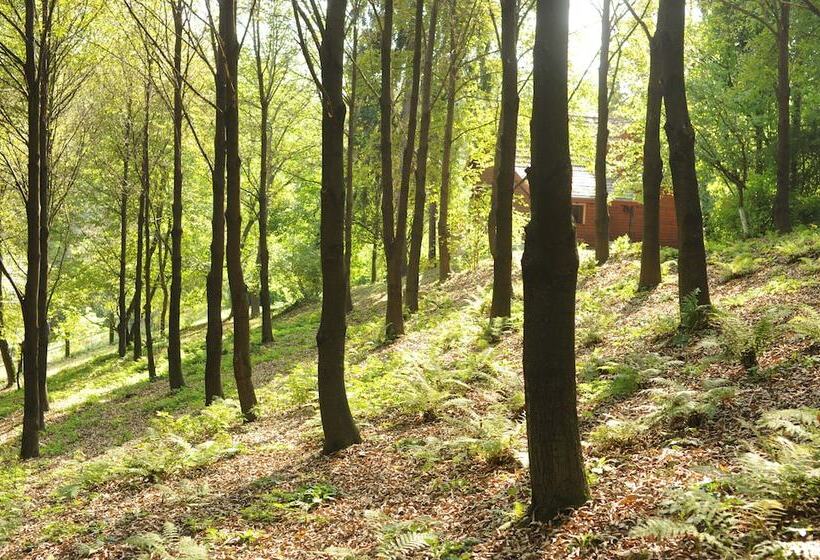 一居室别墅, Ekosamotnia Eco Dream Pension