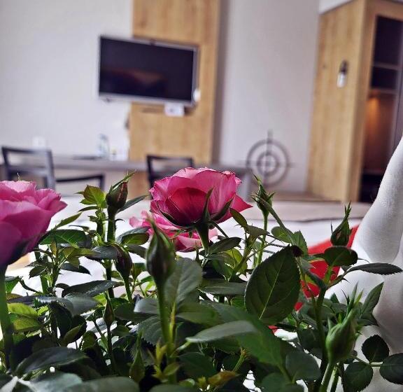 コンフォートルーム, Forza