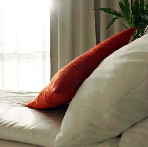 コンフォートルーム, Forza