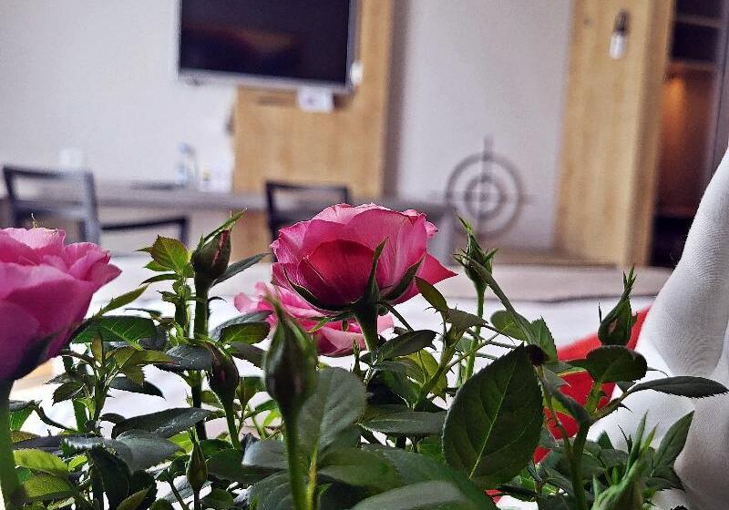 コンフォートルーム, Forza