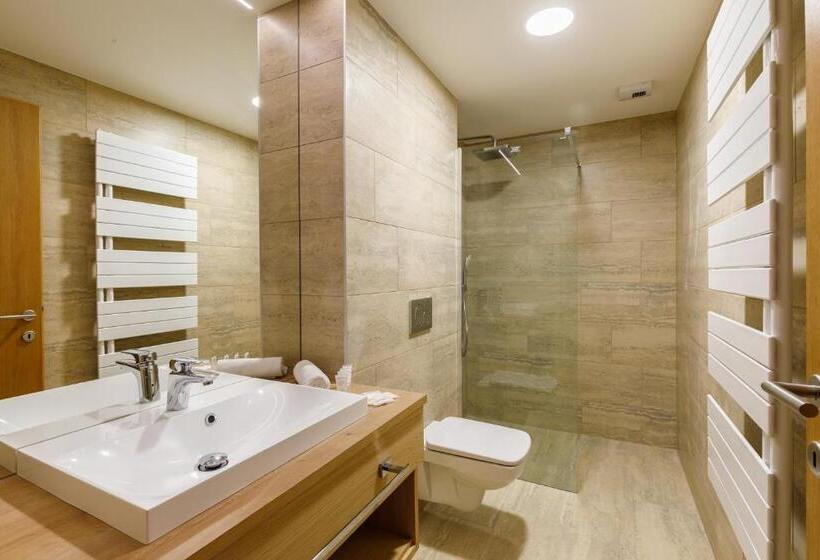 シティビューのスーペリアルーム, Historia Malomkert