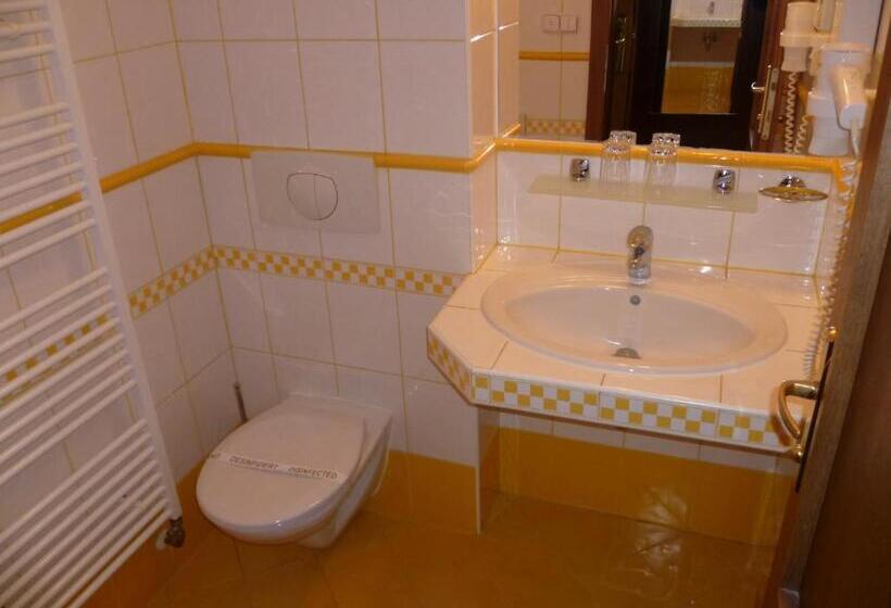 スタンダードシングルルーム, Jelínkova Vila