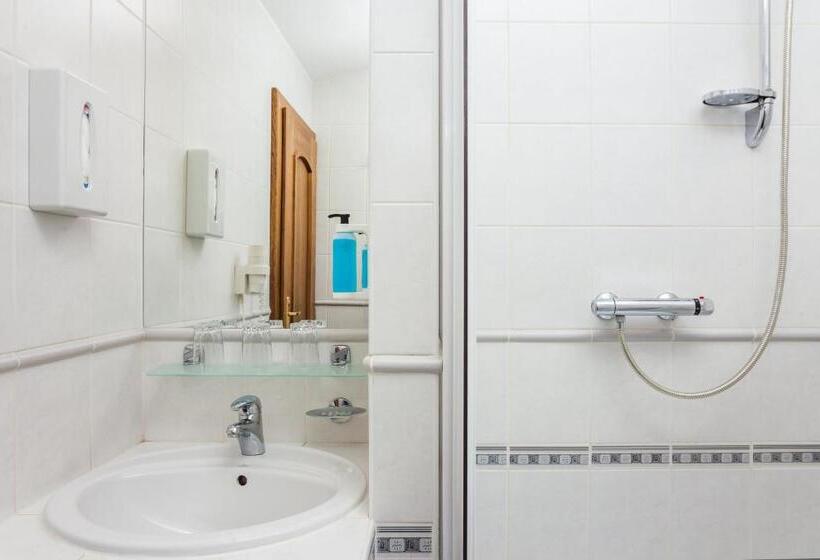 スタンダードシングルルーム, Jelínkova Vila