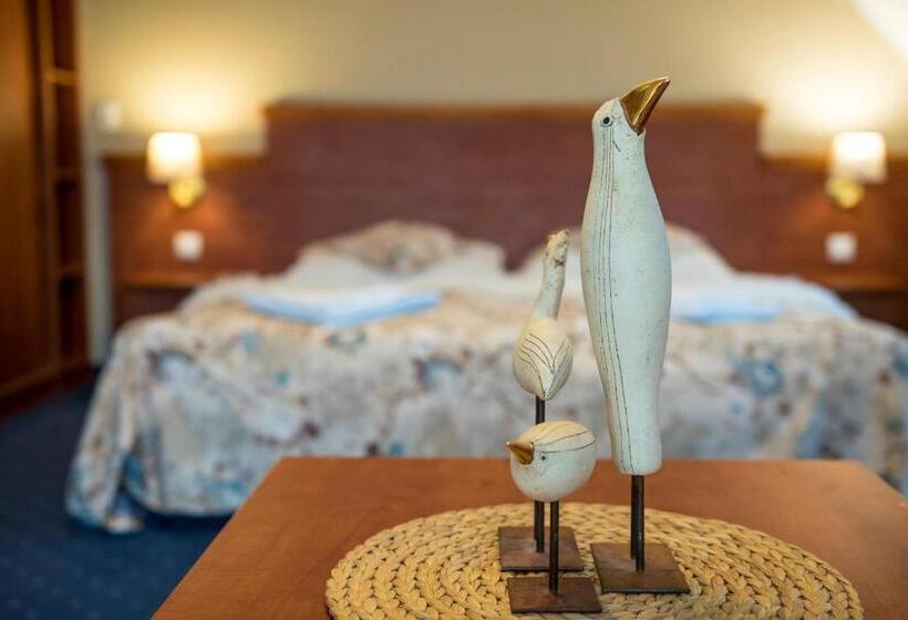 غرفة قياسية, Pensjonat Pod Tatrami