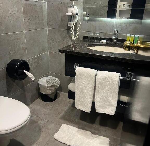 اتاق استاندارد, Torino Hotel Amman