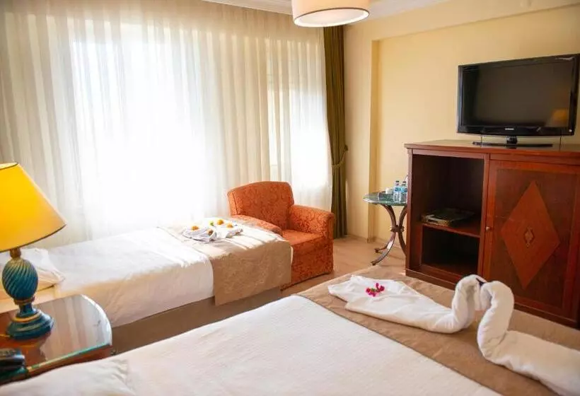 Family Room, Simsek