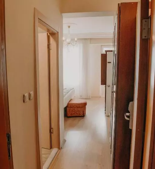 Suite, Simsek