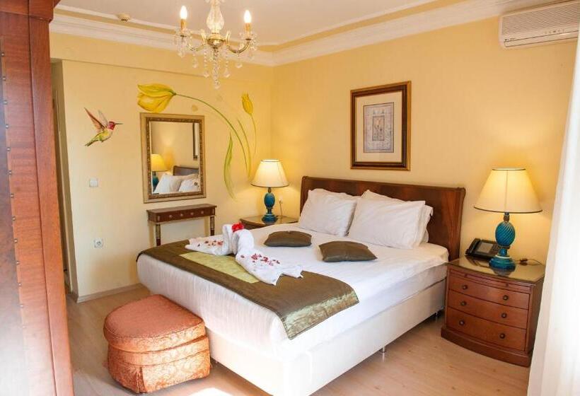 Classic room with balcony, Simsek