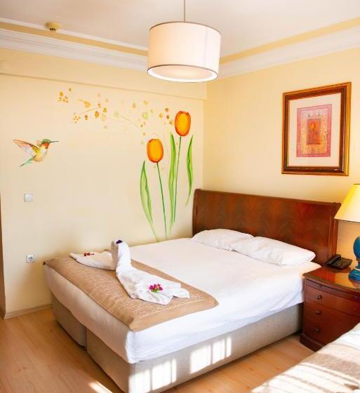 Classic room with balcony, Simsek