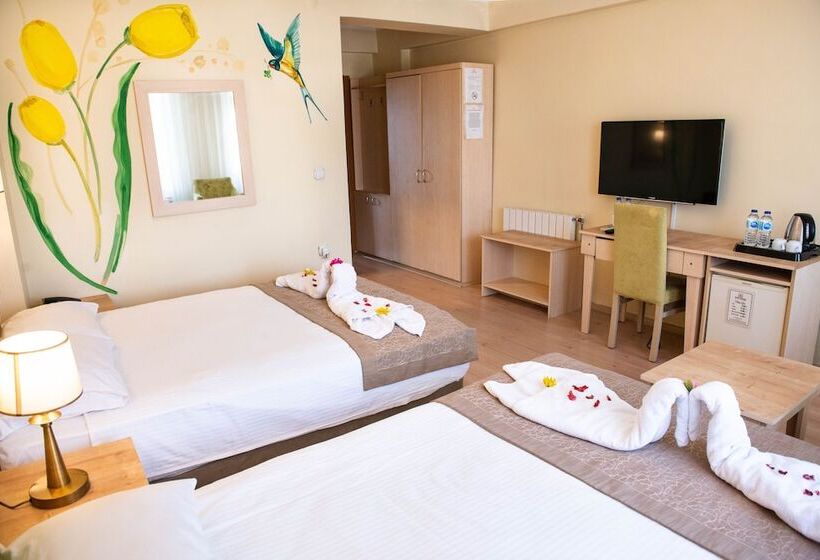 标准三人间, Simsek