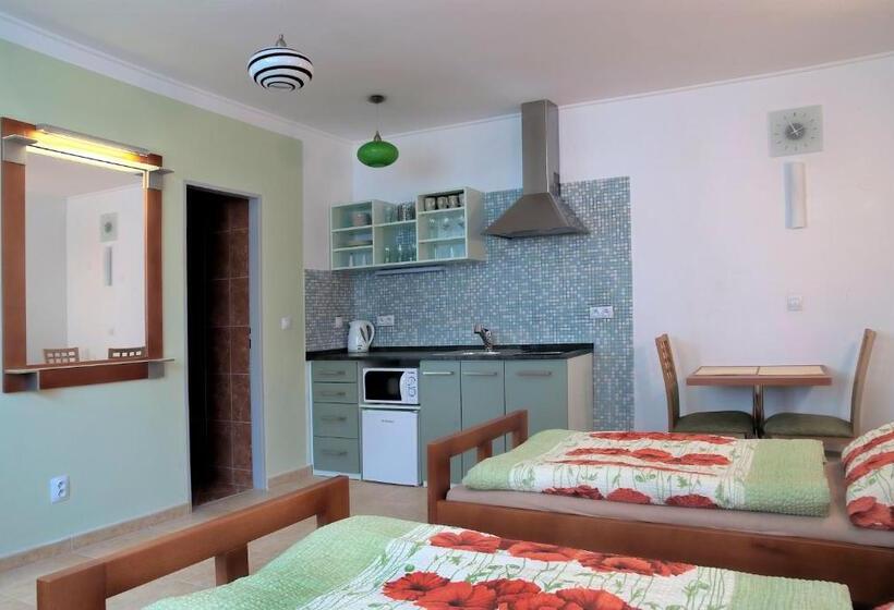 Номер Стандарт, Penzion U Vinotéky