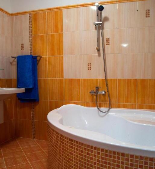 Студия Стандарт, Penzion U Vinotéky