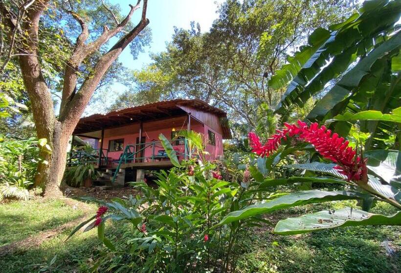 침실 2개 주택, Casa Colores