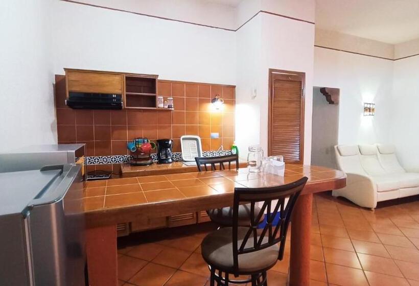 Апартаменты 1 Спальня, Suites Del Centro