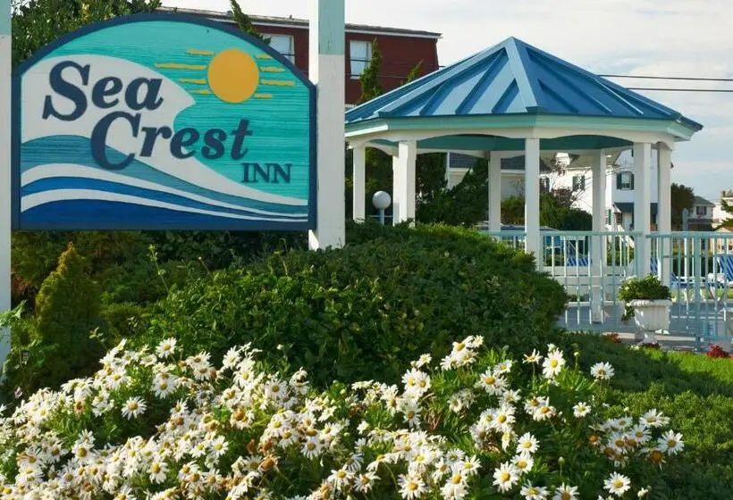 スタンダードルーム, Sea Crest Inn