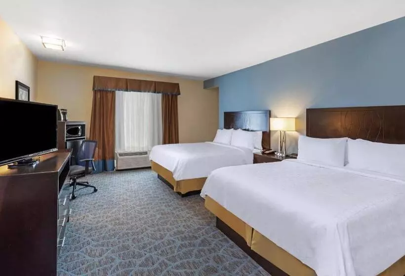 Standard-invahuone, Holiday Inn Express & Suites Floresville By Ihg