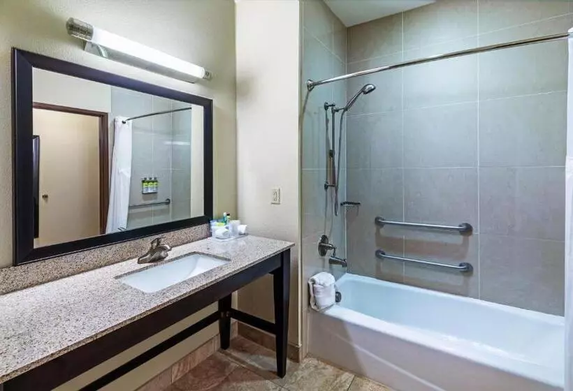 Standard-invahuone King-vuode, Holiday Inn Express & Suites Floresville By Ihg