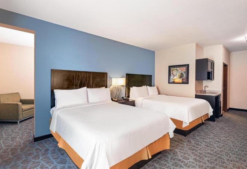 스위트, Holiday Inn Express & Suites Floresville By Ihg