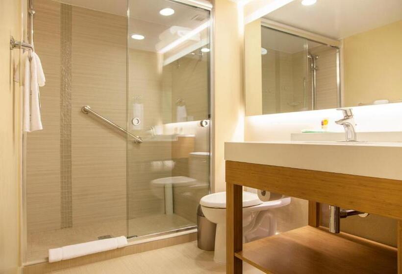 Стандартный Номер Кровать Кинг, Courtyard By Marriott La Paz Baja California Sur