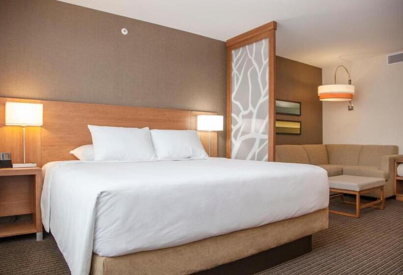 Стандартный Номер Кровать Кинг, Courtyard By Marriott La Paz Baja California Sur