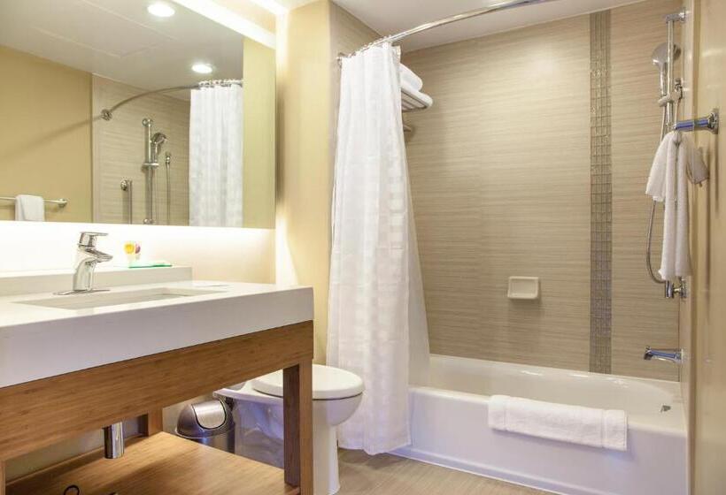 Номер Стандарт 2 Двуспальные Кровати, Courtyard By Marriott La Paz Baja California Sur