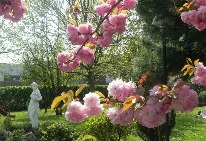 Номер Комфорт, Il Maglio