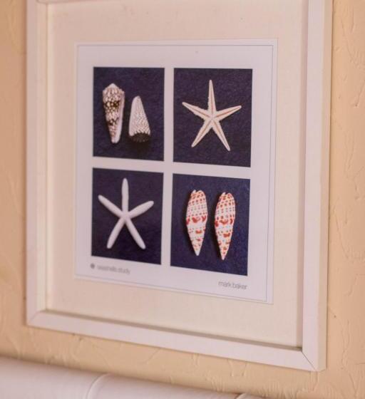 Номер Economy, Pousada Pura Vida