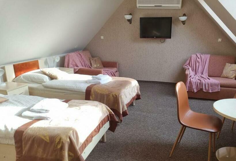 Номер Стандарт с Балконом, Pensjonat Melaxa