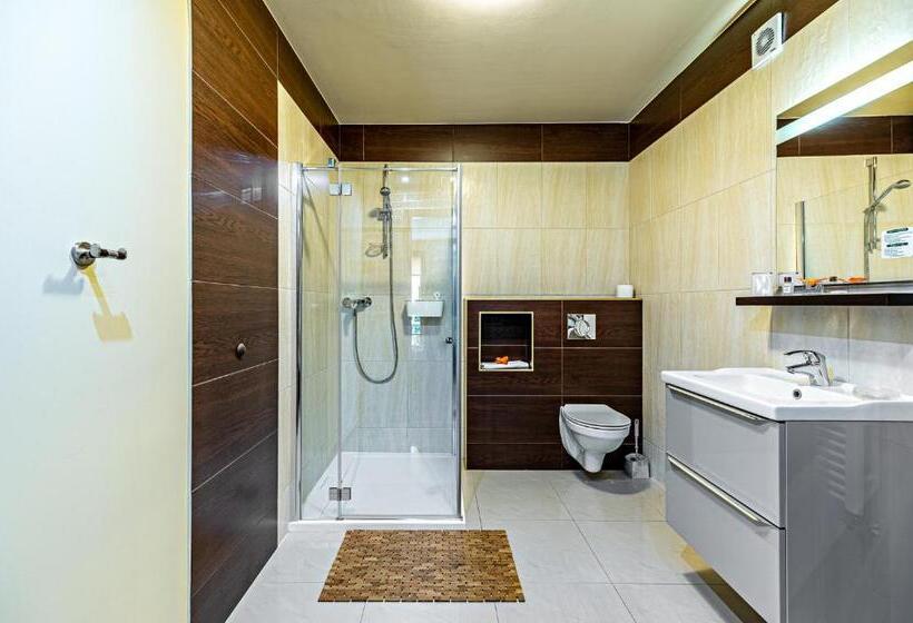 شقة غرفة واحدة مزودة بتراس, Pensjonat Miejski