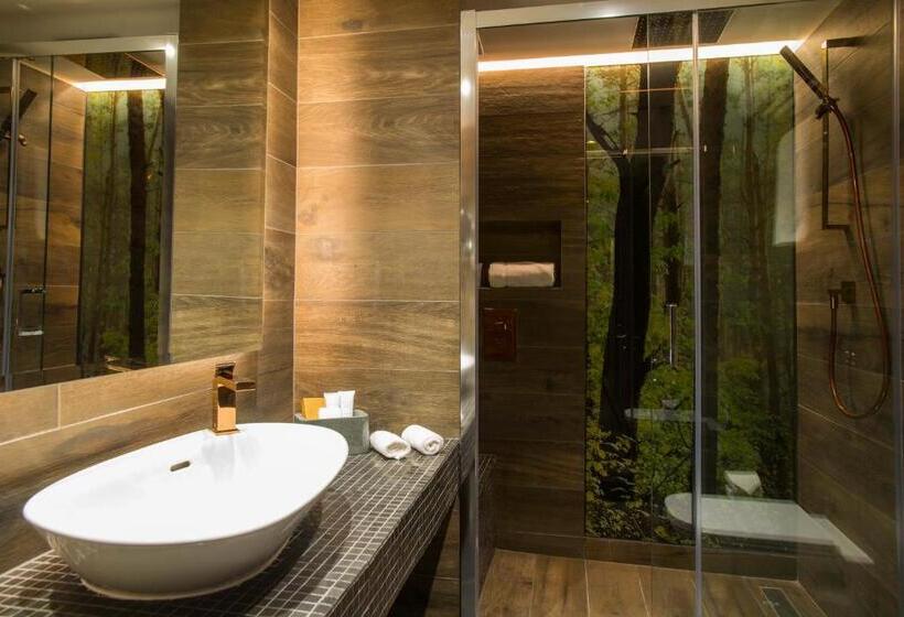 غرفة قياسية مطلة على الجبل, Termas Chillán