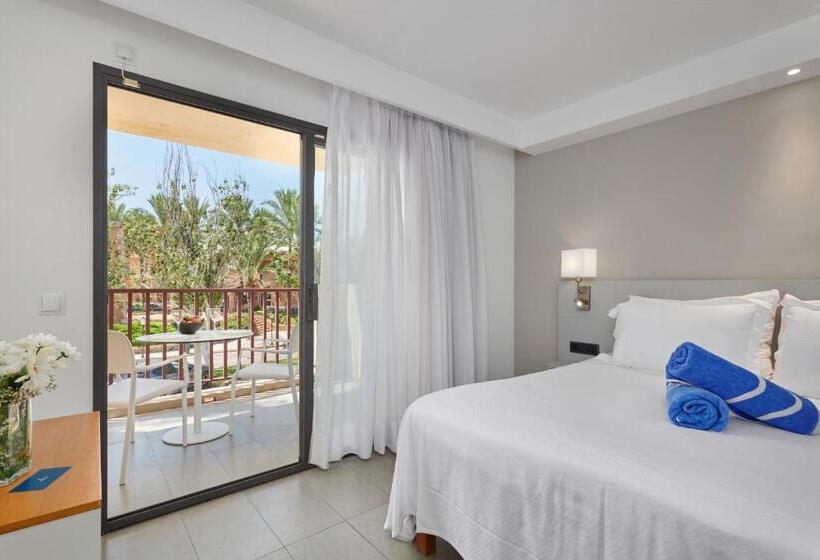 스탠다드 스튜디오, Hipotels Apartamentos Cala Bona