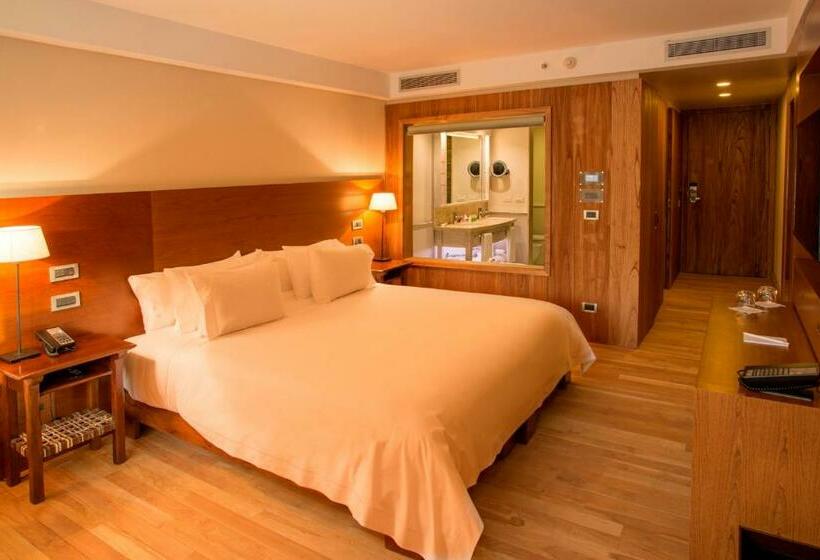 غرفة قياسية, Arakur Ushuaia Resort & Spa