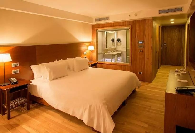 スタンダードルーム, Arakur Ushuaia Resort & Spa