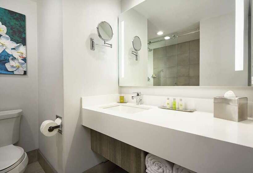 标准间, Doubletree By Hilton Trujillo