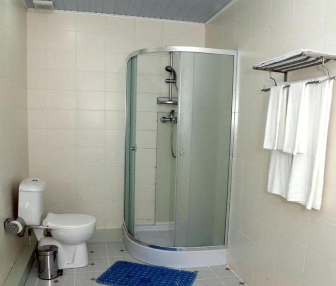 غرفة قياسية فردية, Royal Palace