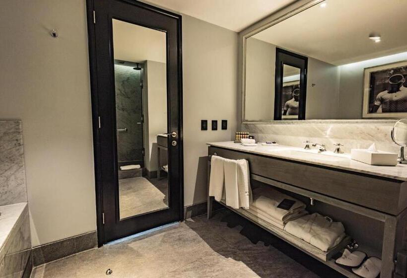 套房, The Singular Santiago