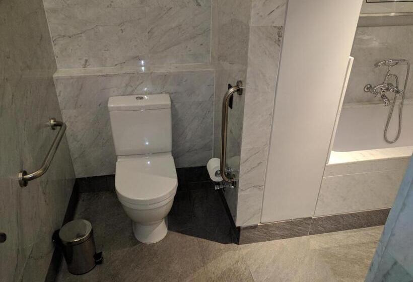 חדר סטנדרט מותאם לאדם עם מוגבלויות, The Singular Santiago