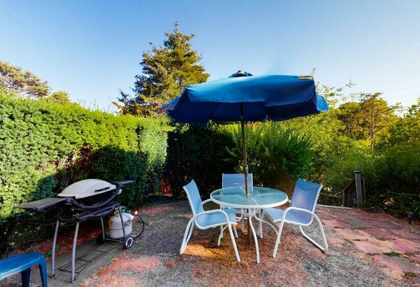 إستوديو قياسى, Beach Rose Guest Studio