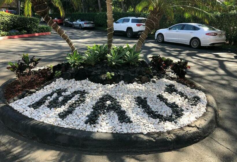 شقة غرفتين, Maui Kai 507 & 508