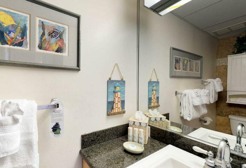 شقة غرفتين, Maui Kai 507 & 508