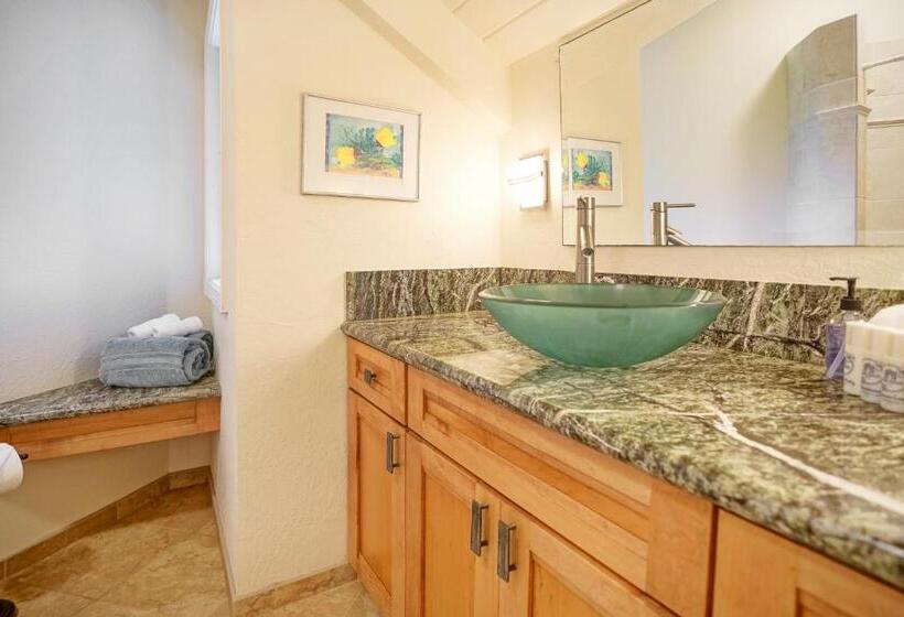 شقة غرفة واحدة, Pali Ke Kua 144