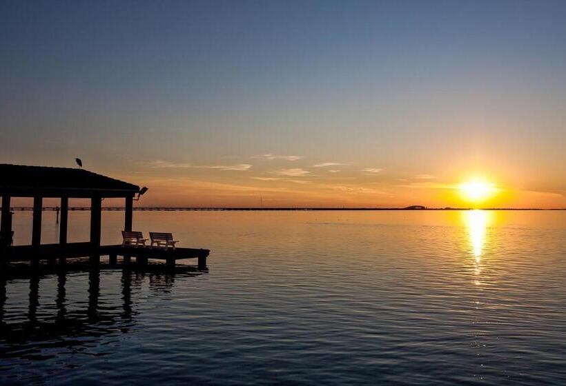 شقة غرفة واحدة, Florence #707