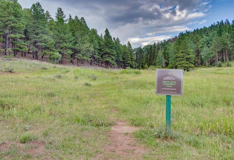 شقة غرفتين, Snowfire 206a