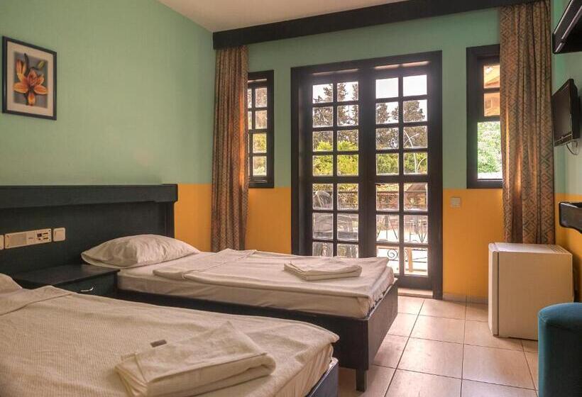 스탠다드 룸, Ares Dream Hotel  All Inclusive