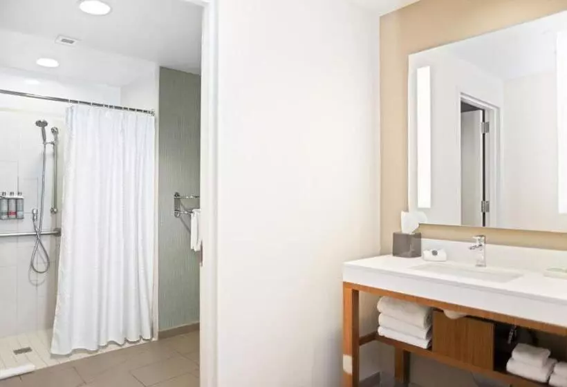 身障者適用スタンダードルーム, Faro Blanco Resort & Yacht Club Marathon, Curio By Hilton