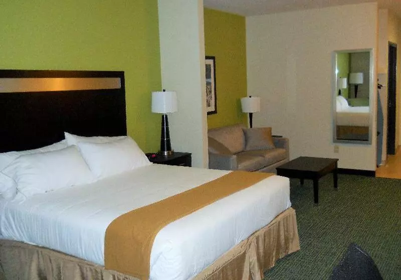 سوئیت با تخت بزرگ, Holiday Inn Express Hotel & Suites Temple Medical Center Area, An Ihg